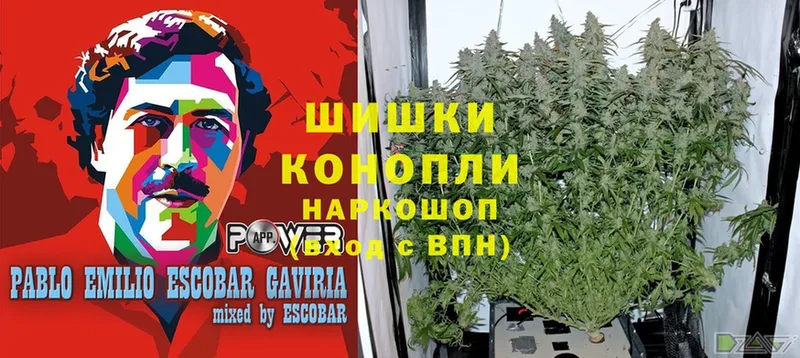 наркотики  Абаза  Бошки Шишки Ganja 